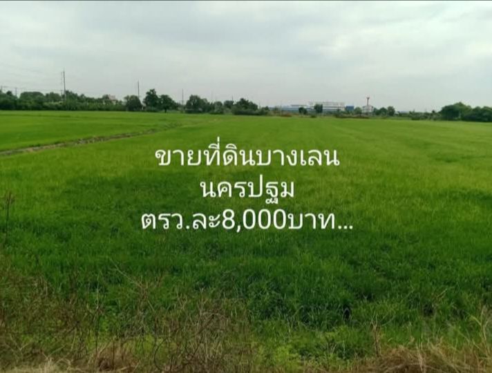 ขายที่ดินนครปฐม บางเลน แปลงมุมเหมาะทำหมู่บ้าน 69-0-36 ไร่