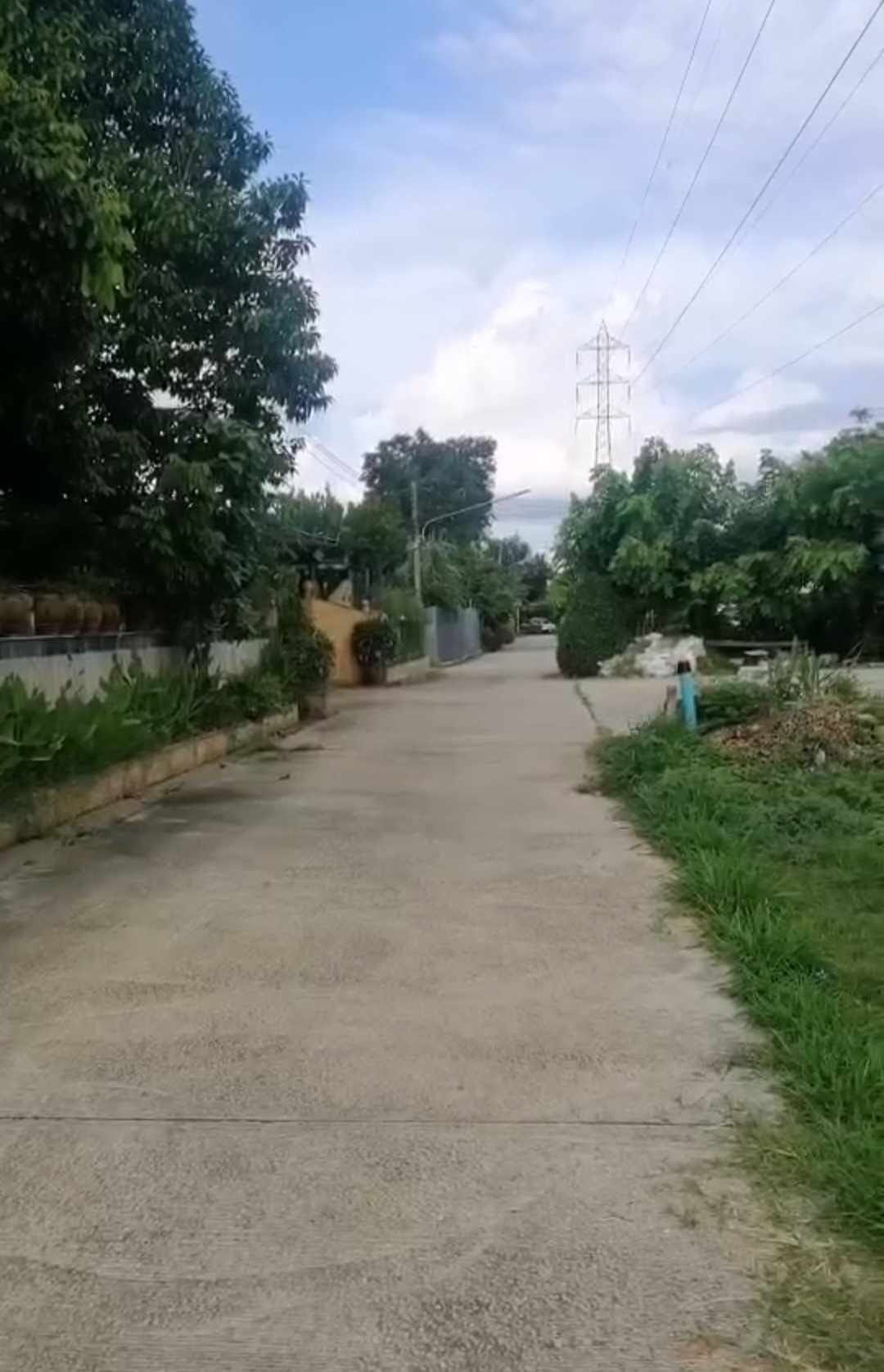 ที่ดินติดถนนและติดคลองลำตะคลอง