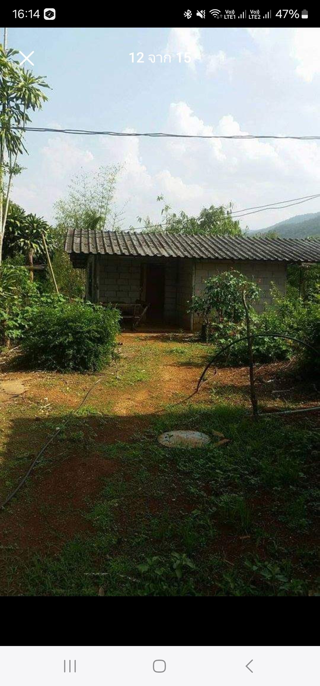 ขายที่ดินเชียงใหม่ อำเภอพร้าว ที่สวนลำไย