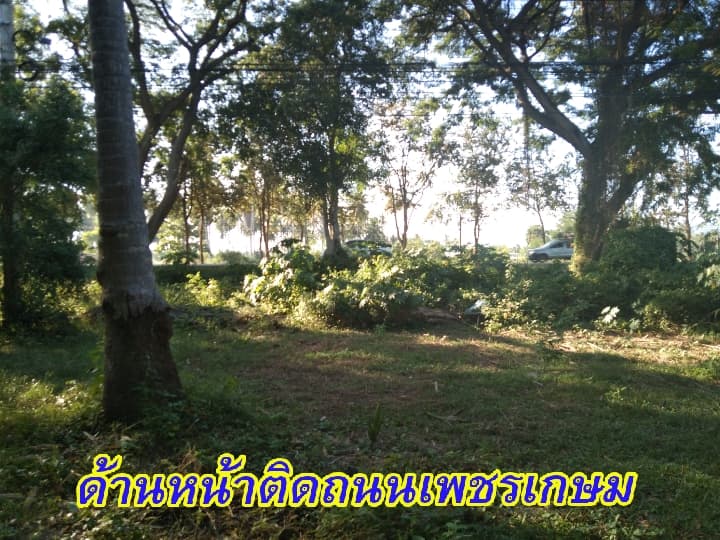 ที่ดินเปล่า ด้านหน้าติดถนน เพชรเกษม อ.ทับสะแก จ.ประจวบคีรีขันธ์  2  ไร่
