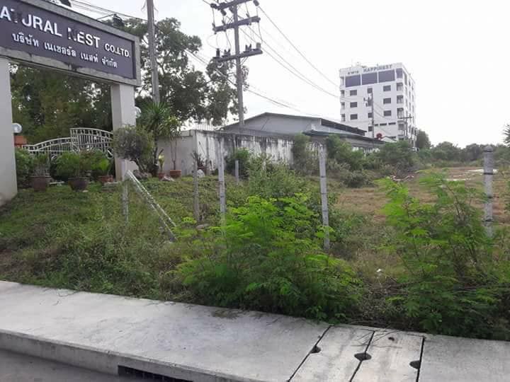 ขายที่ดินสงขลา ในเทศบาลนครหาดใหญ่ ที่ดินติดริมน้ำ คลองอู่ตะเภา เป็นที่ดินแปลงยาว พร้อมสำหรับสิ่งปลูกสร้าง