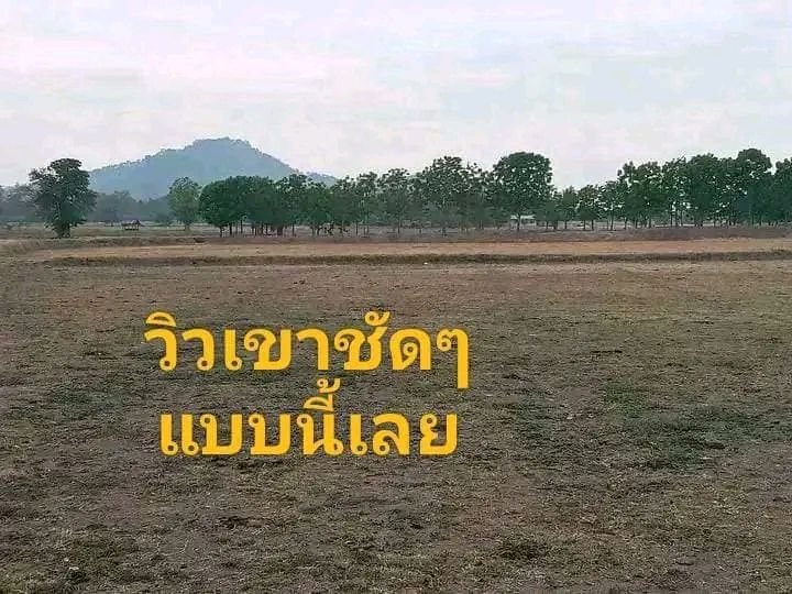 ที่ดิน เหมาะทำการเกษตร