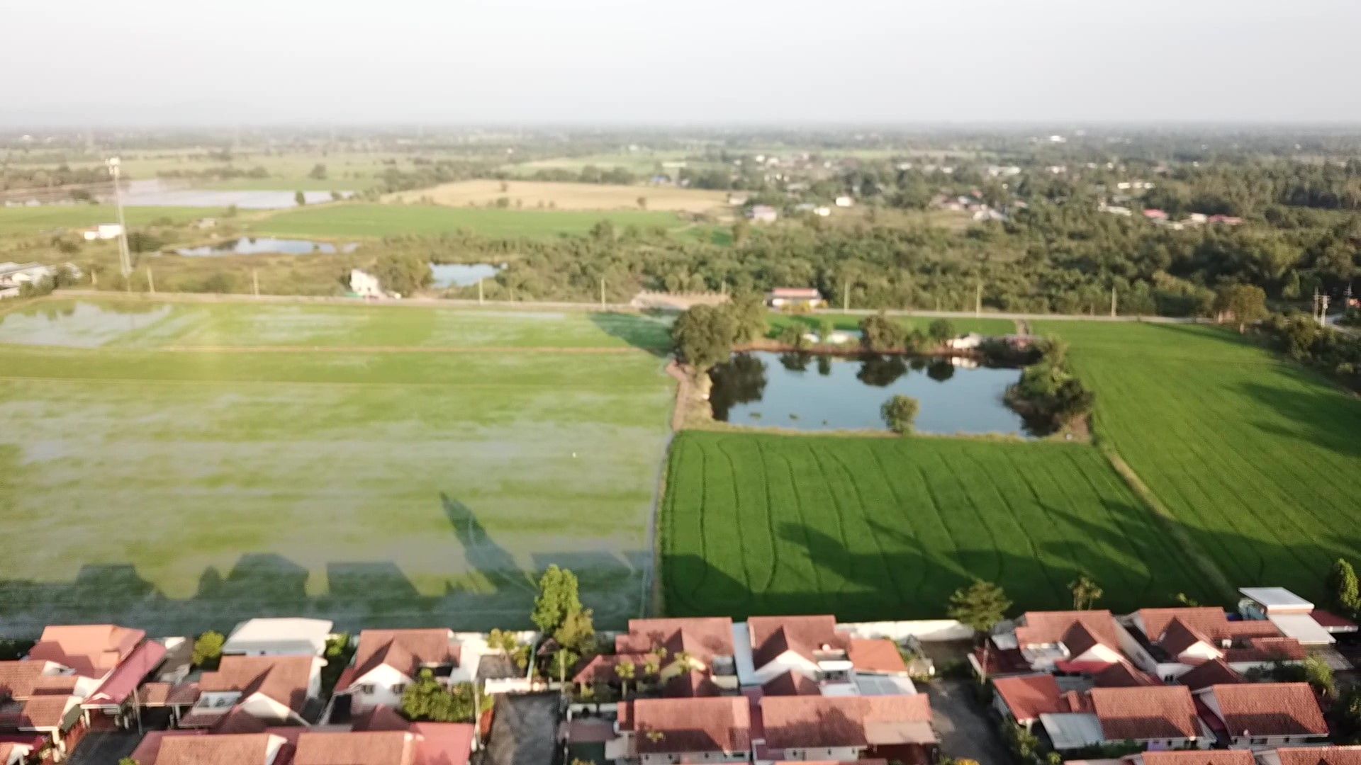 ขายที่ดิน แปลงใหญ่ กลางตลาด อ.หนองแค 51 ไร่ จ.สระบุรี