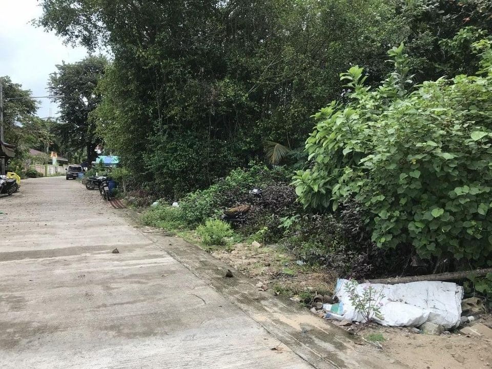 ที่ดินติดทะเลเกาะมะพร้าว เมืองภูเก็ต 1-0-99.9