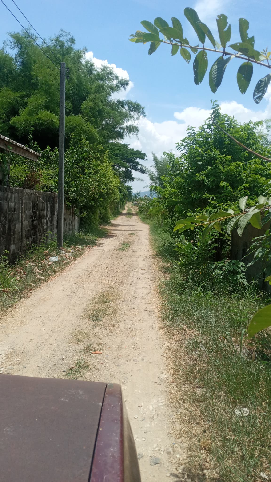 ขายที่ดินเปล่า ขาย 2 ไร่ขึ้นไป พัฒนานิคม ลพบุรี 4-3-41