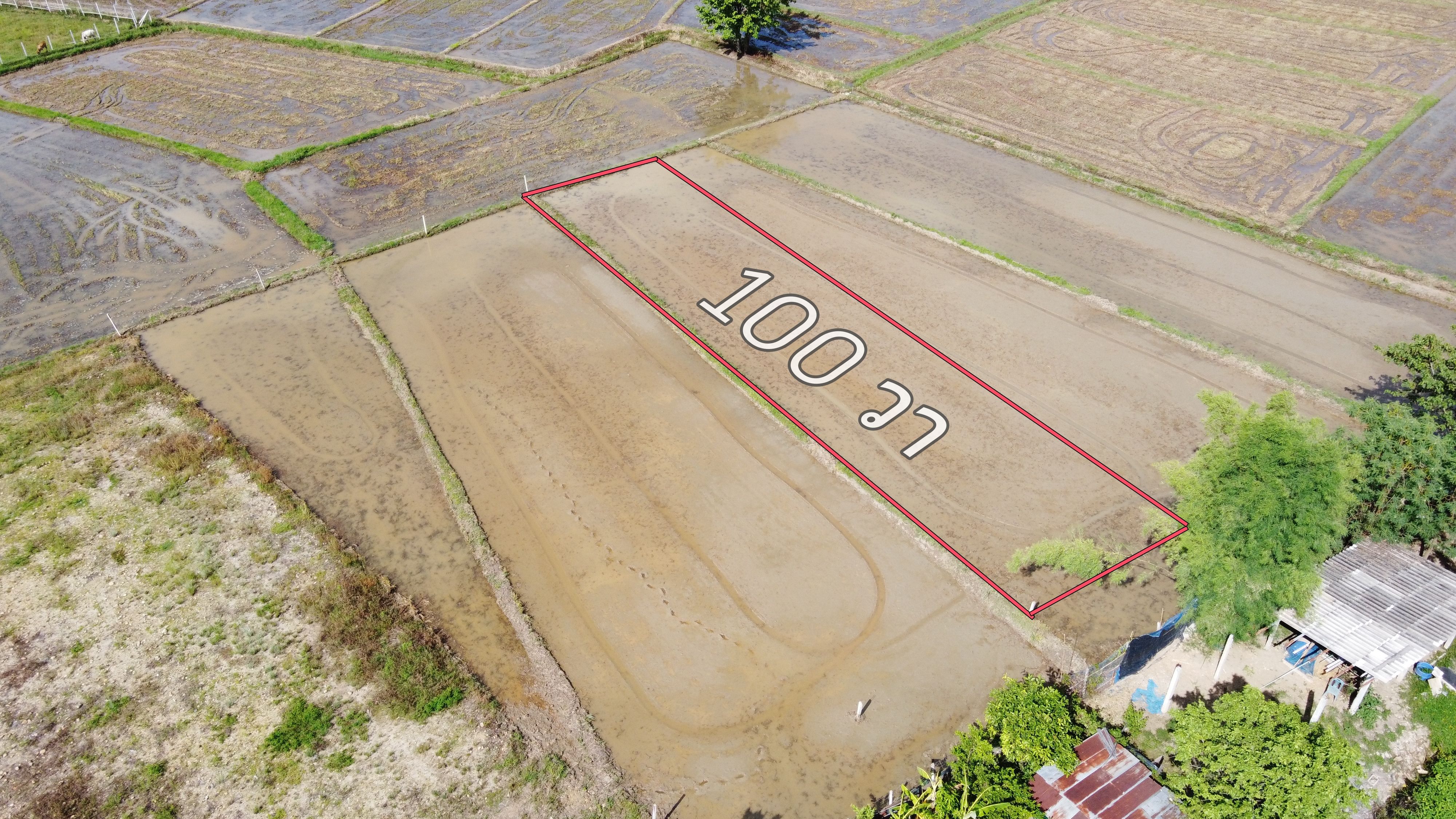 ที่ดิน 100 ตร.ว. (วิวดอย ใกล้แนวถนตัดใหม่ไปวงแหวนรอบสอง 600 เมตร)