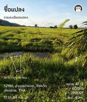 ที่ดิน ทุ่งนา ป่าแดด เชียงราย 20-2-60