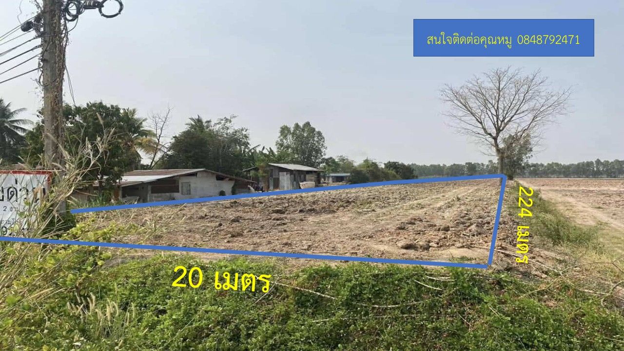 ขายที่ดินอุทัยธานี อำเภอสว่างอารมณ์ ขายด่วนที่นาทำเลดี