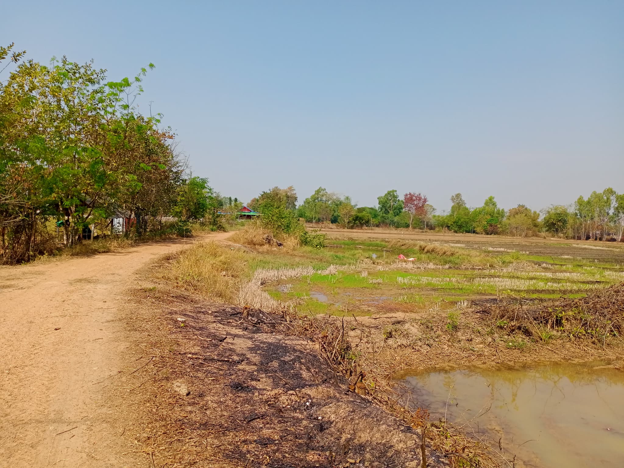ที่ดินเปล่าแบ่งขาย 2 ไร่ อ.เมืองขอนแก่น จ.ขอนแก่น
