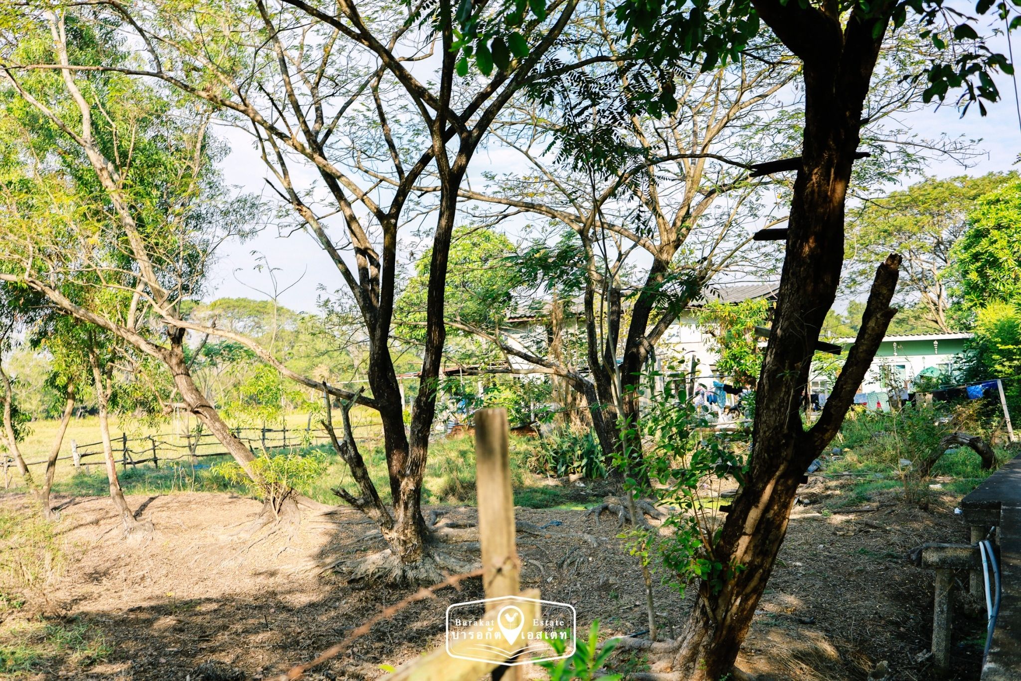 ที่สวย 2 งาน  เข้าซอย 700 เมตร เขตคลองสามวา