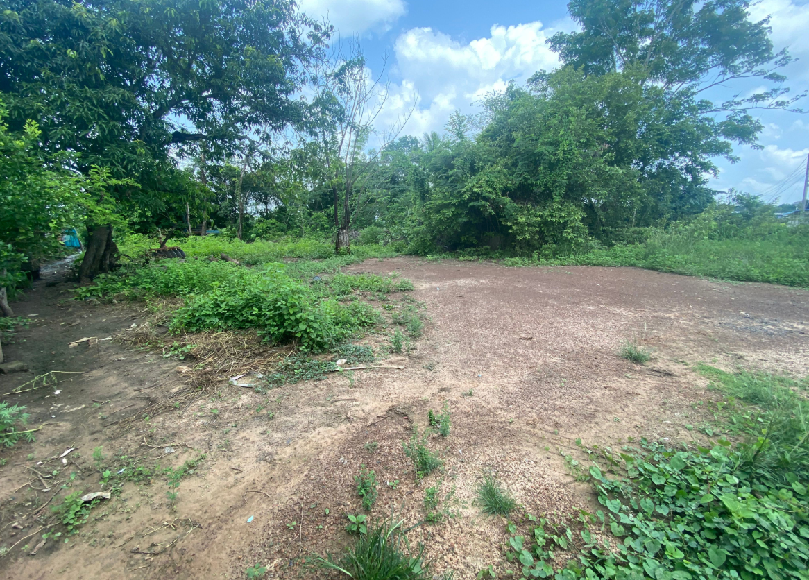 ขายที่ดินอุบลฯ เดชอุดม ที่ดินสร้างบ้าน ต.นาส่วง อ.เดชอุดม จ.อุบลฯ