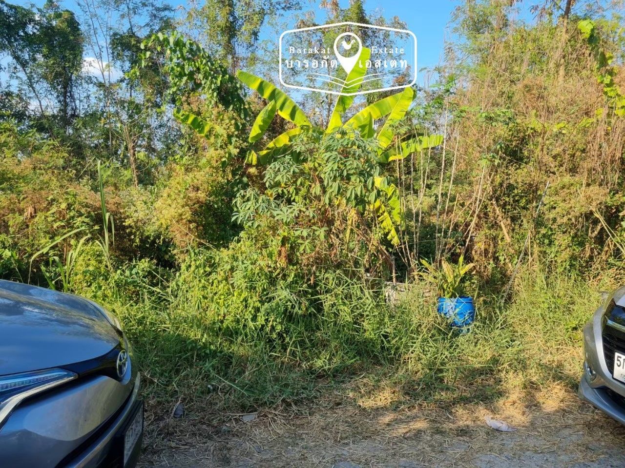  ที่สวย หน้าติดถนนซอย ทำเลดีๆ ราคาถูก เขตหนองจอก กรุงเทพฯ