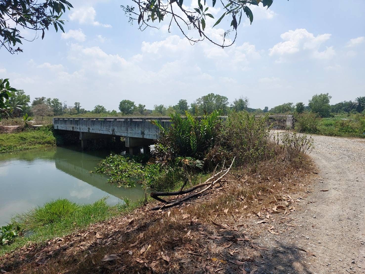 ขายที่ดินเปล่า ติด คลองท้ายก๋ง สุราษฎร์ธานี