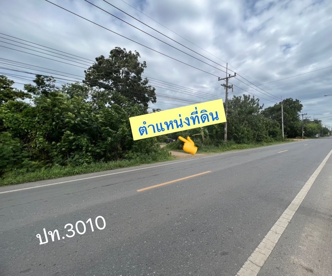 ขายที่ดินทำเลดี เหมาะลงทุน เก็งกำไร คลองห้า คลองหลวง ปทุมธานี 50-0-0
