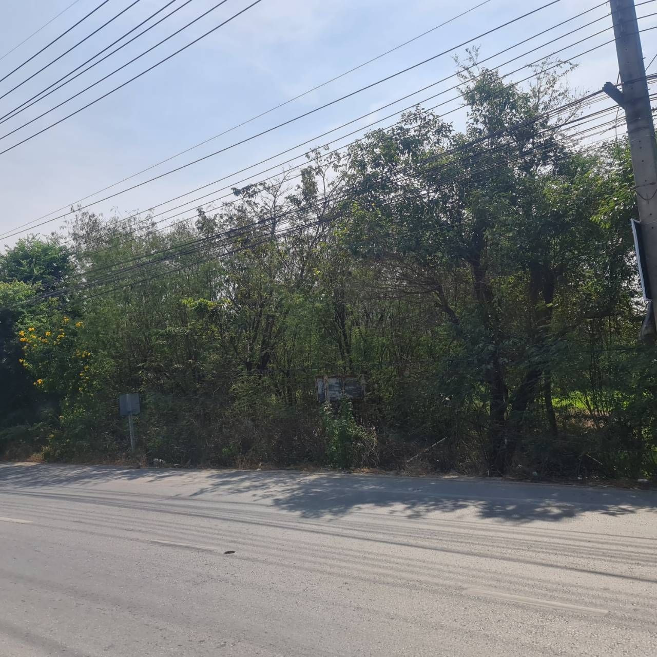 ขายที่ดินจังหวัดนครปฐมขายด่วน