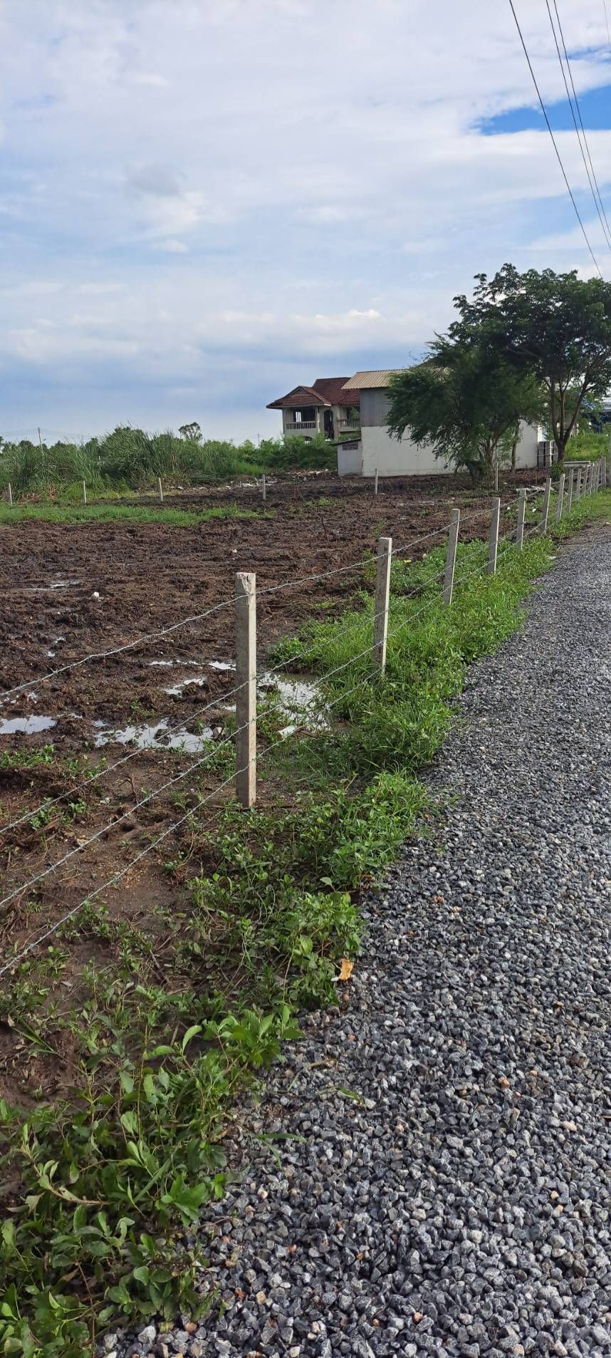 ขายที่ดินปทุมธานี อำเภอลำลูกกา แปลงสวย ใกล้โรงเรียนชุมชนเลิศพินิจพิทยาคม 3.2 กม.