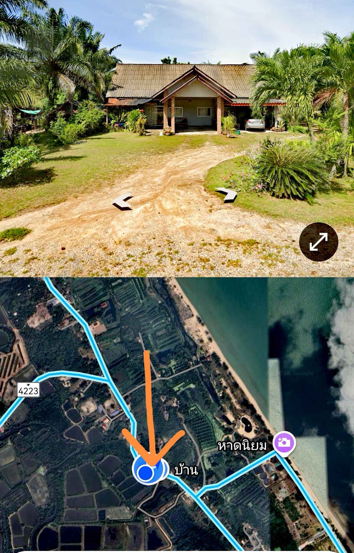 ขายบ้านพร้อมที่ดิน มีสวนปาล์มน้ำมัน