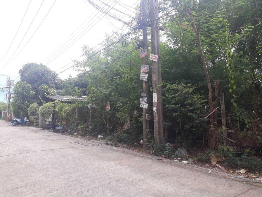 ที่ดินแปลงสวย วังทองหลาง บางกะปิ กรุงเทพฯ 0-1-69
