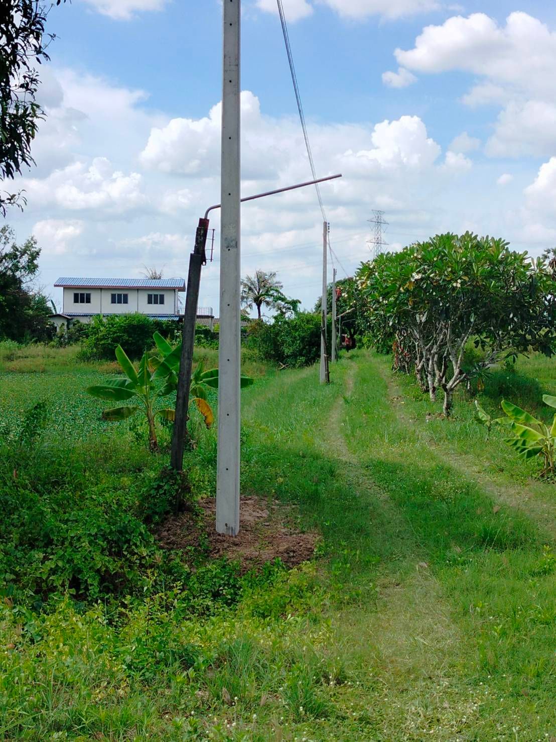 ขายที่ดินชลบุรี พนัสนิคม ที่ดิน 9-1-40 ไร่ พร้อมบ้าน ในชุมชน ติดถนนสาธารณะ 