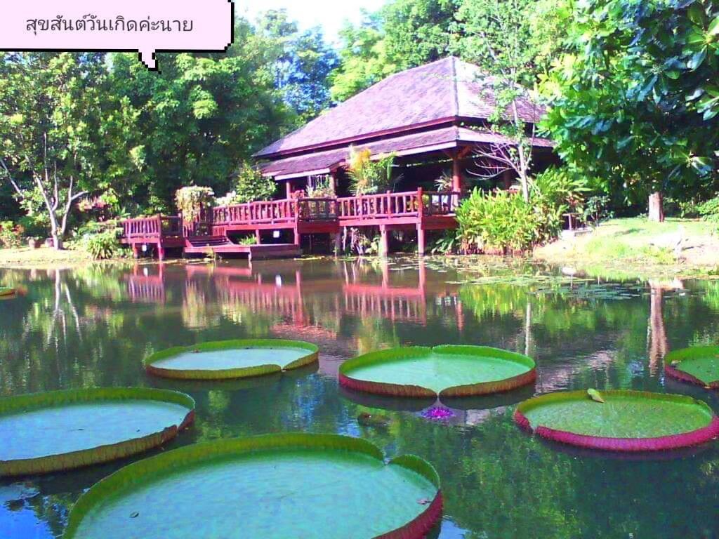 ขายบ้านสวนสระบุรี แก่งคอย บรรยากาศดี สงบ มีสวนผลไม้ ใกล้มอเตอร์เวย์สายบางปะอิน–นครราชสีมา