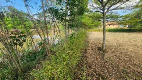 ขายที่ดินทอสคาน่า Exclusive zone | ริมเขา | ติดทะเลสาบ 0-3-68 ไร่. | ตร.วา@ 39,500บ.L056