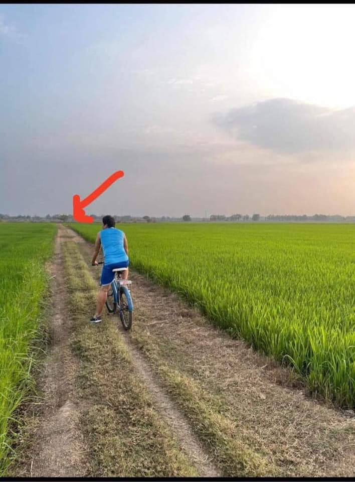 ที่นา ตำบลพิกุล อำเภอชุมแสง นครสวรรค์ 42-3-89 ไร่