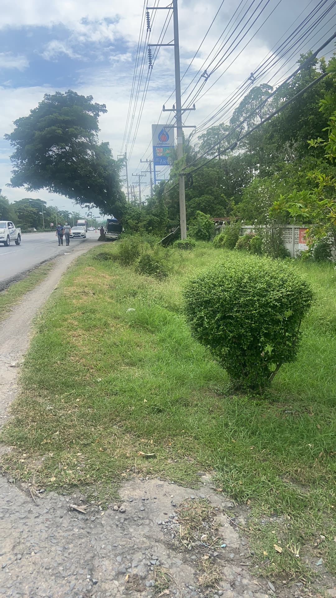 ขายที่ดินนครนายก องครักษ์ 99-0-11