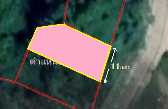 ขายที่ดิน สุราษฎร์ธานี 63.6 ตรว.