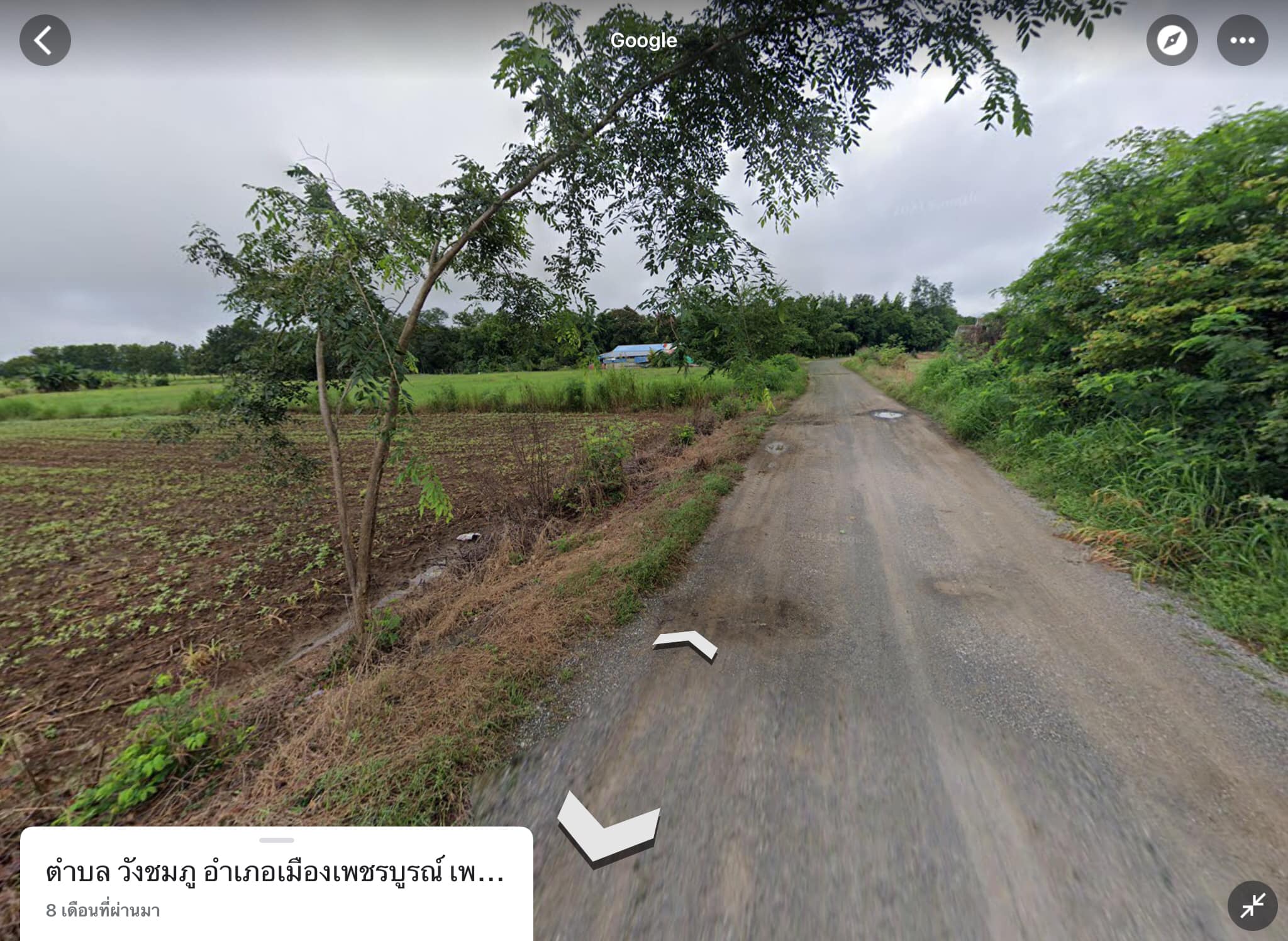 ที่ดินเปล่า เมืองเพชรบูรณ์ 5-3-45.4