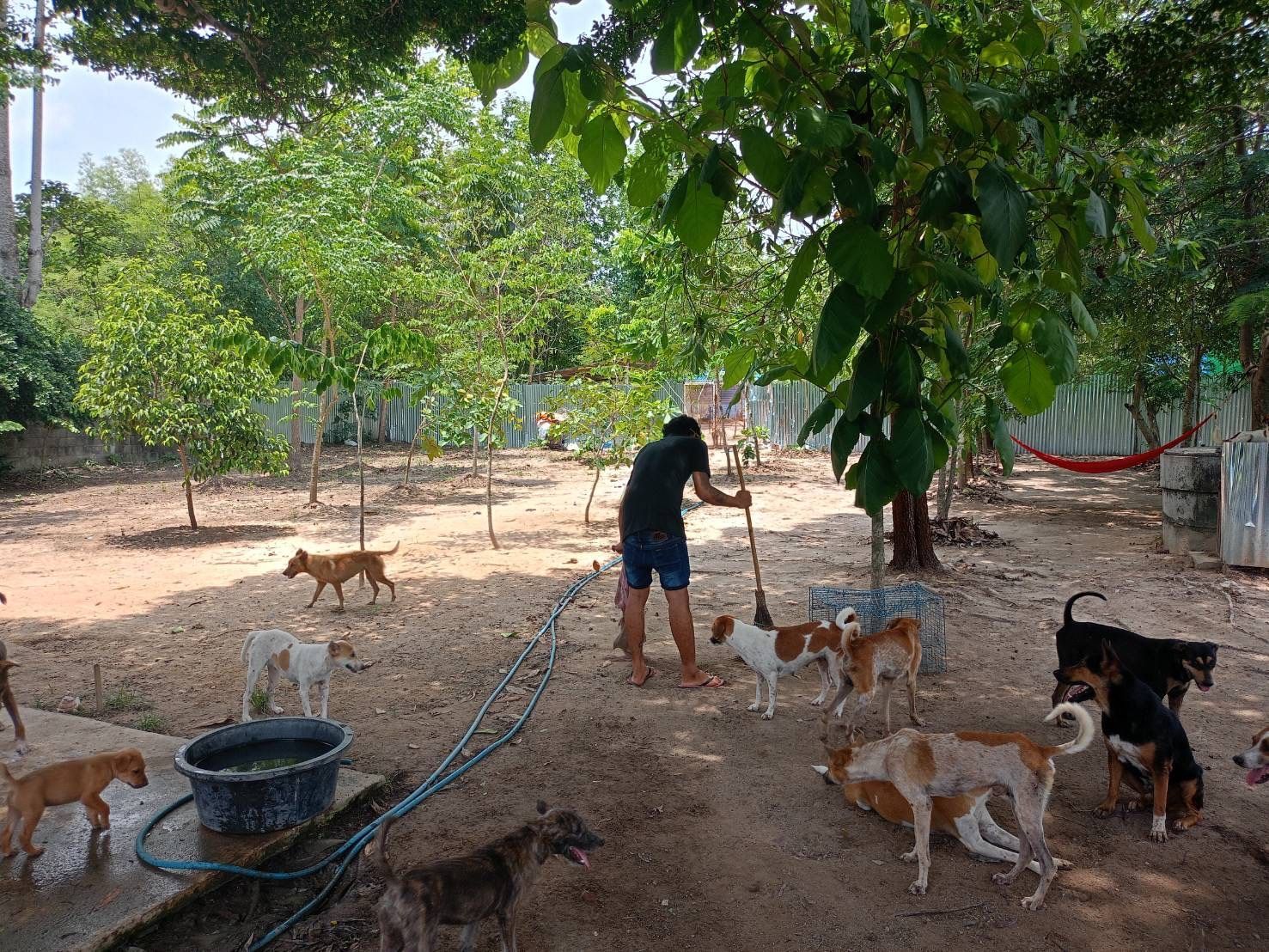 ขายที่ดิน2 ไร่ ติดถนนพร้อมออฟฟิช