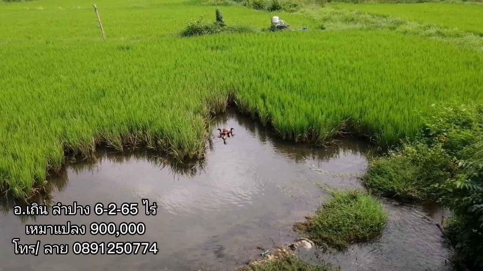 ขายที่ดิน ลำปาง 6-2-65 ไร่