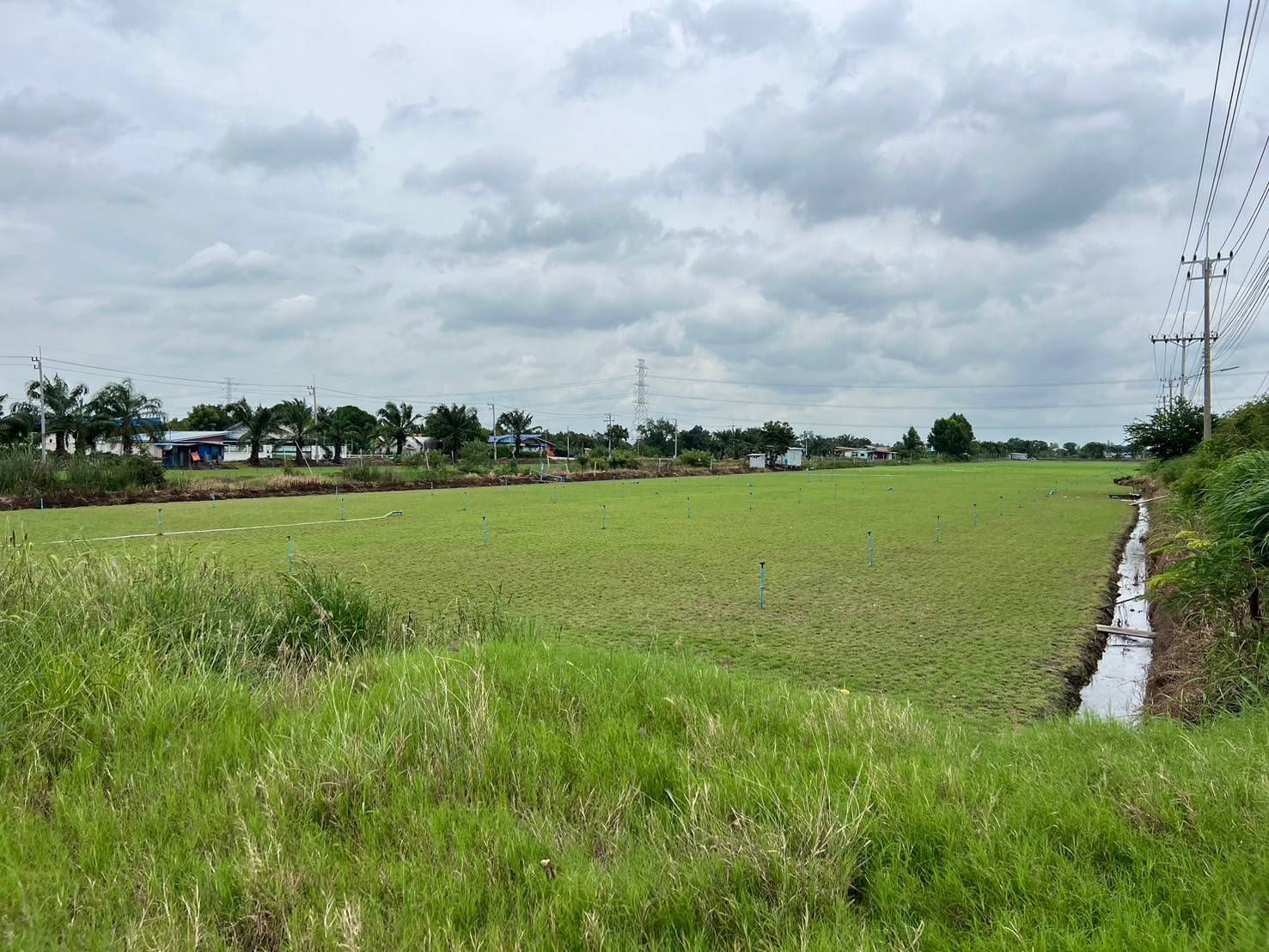ขายที่ดินปทุมธานี อำเภอหนองเสือ ห้ามพลาด ที่สวย ทำเลค้าขายได้