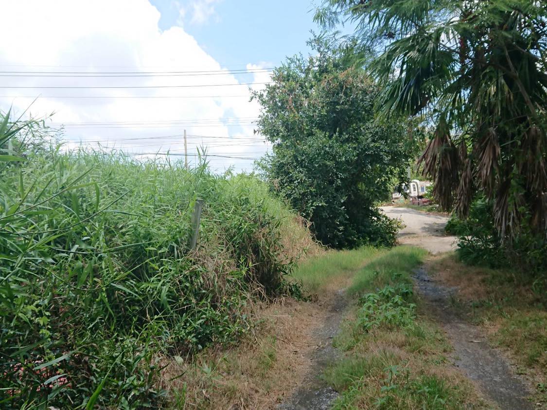 ที่ดินเปล่านครปฐม จ.นครปฐม อ.นครชัยศรี 9-2-14 ไร่