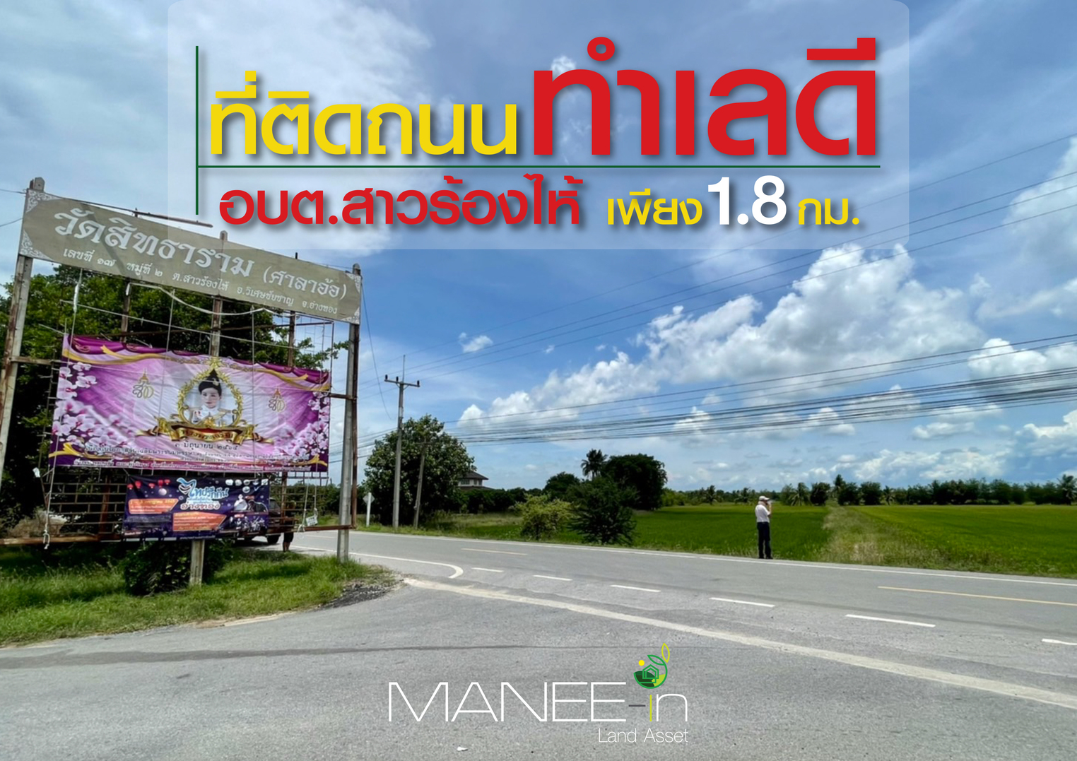 ขายที่ดินอ่างทอง วิเศษชัยชาญ 17-2-94ตารางวา