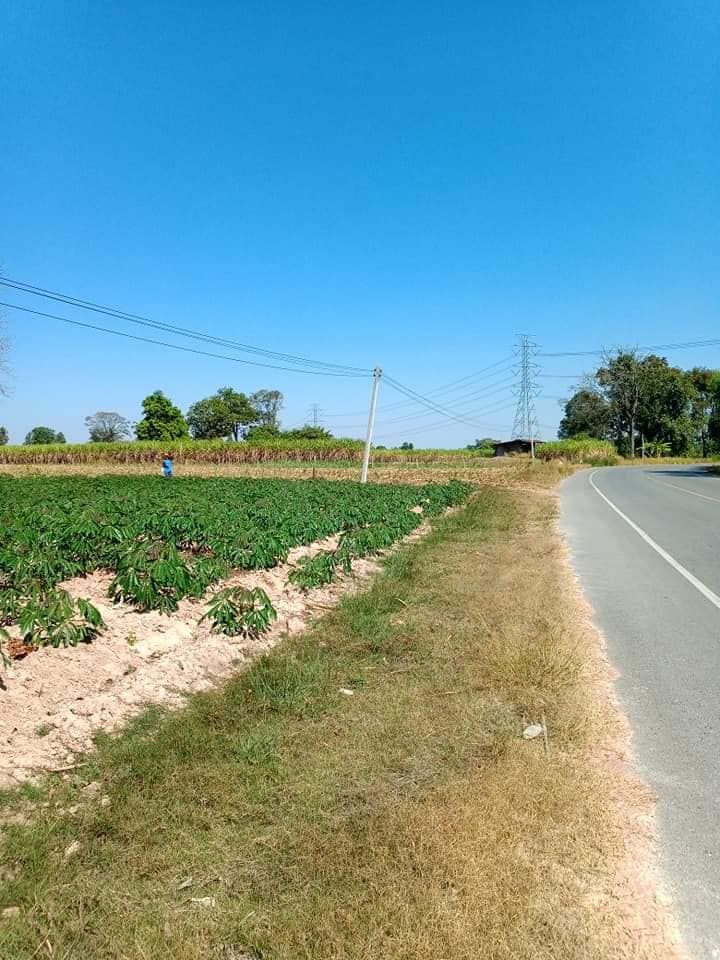 ขายที่ดิน 5-0-5.3 ทางไทรงาม