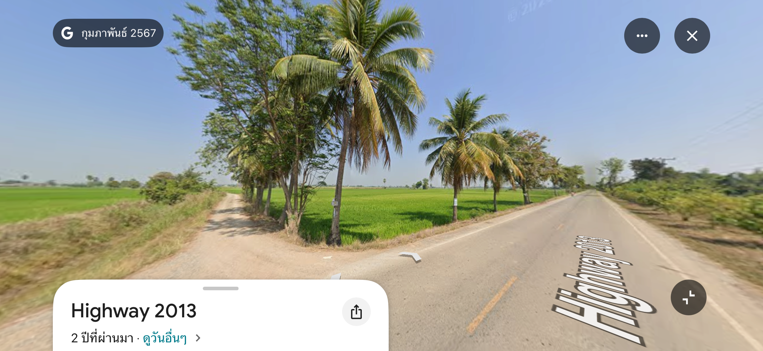 ขายที่ดินพิษณุโลก บางกระทุ่ม ขายด่วน