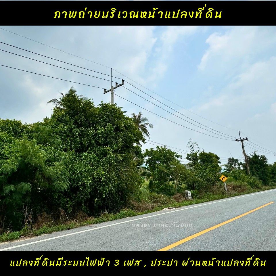 ขายที่ดินราคาถูกใกล้ท่าเรือแหลมฉบังชลบุรี ติดถนน 2 ด้าน เดินทางสะดวก