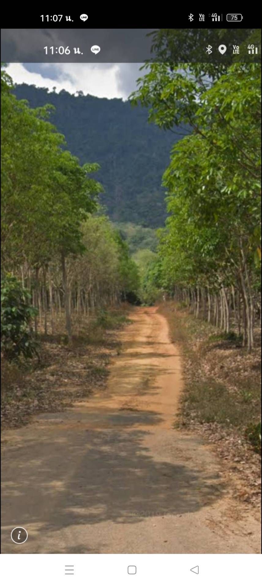 ขายที่ดินระยอง เมืองระบอง ที่ดินหน้ากว้าง แปลงสวย บรรยากาศดี น่าลงททุน 