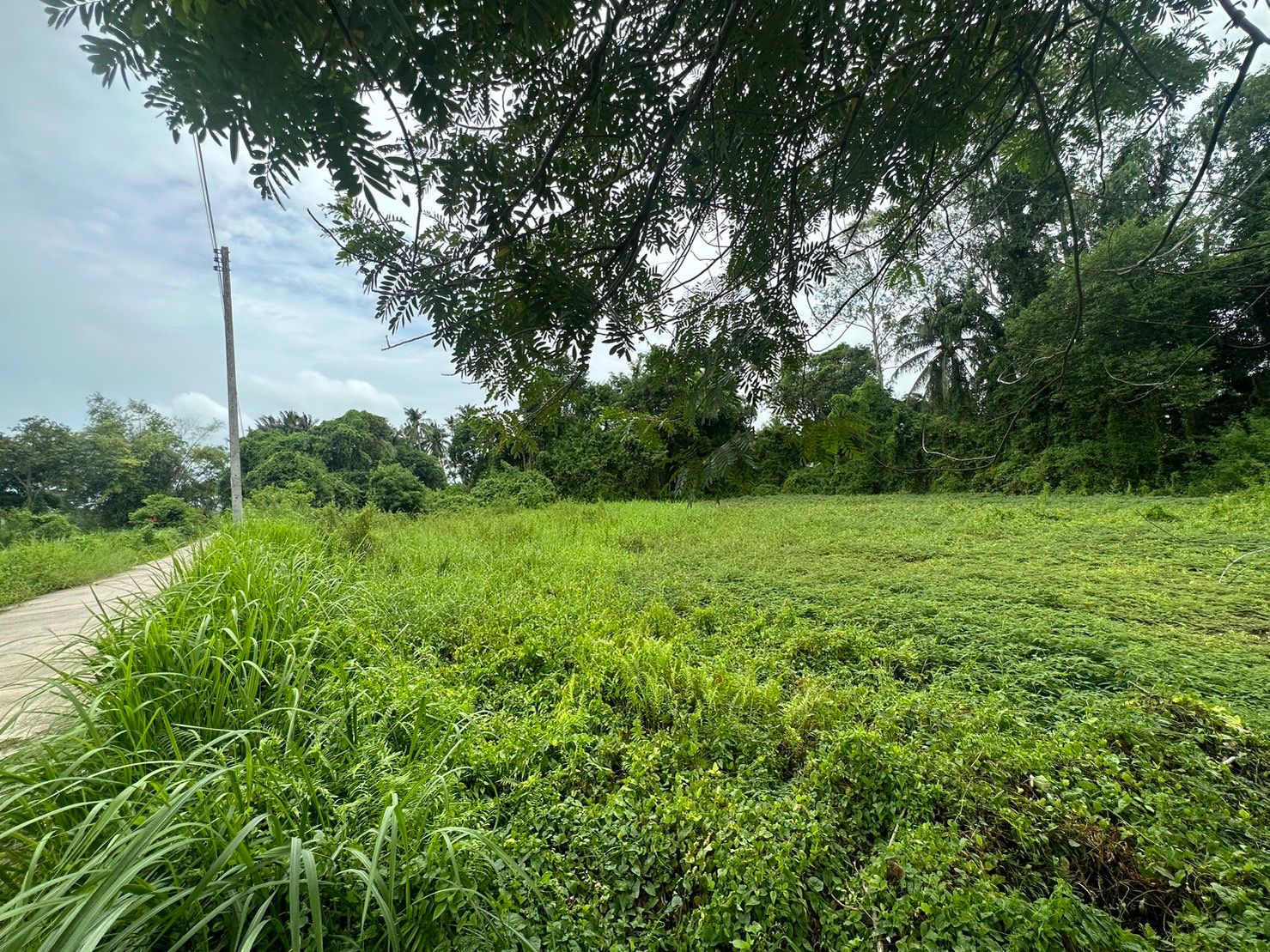 ขายด่วนที่ดินว่างเปล่าแหลมสิงห์จันทบุรี
