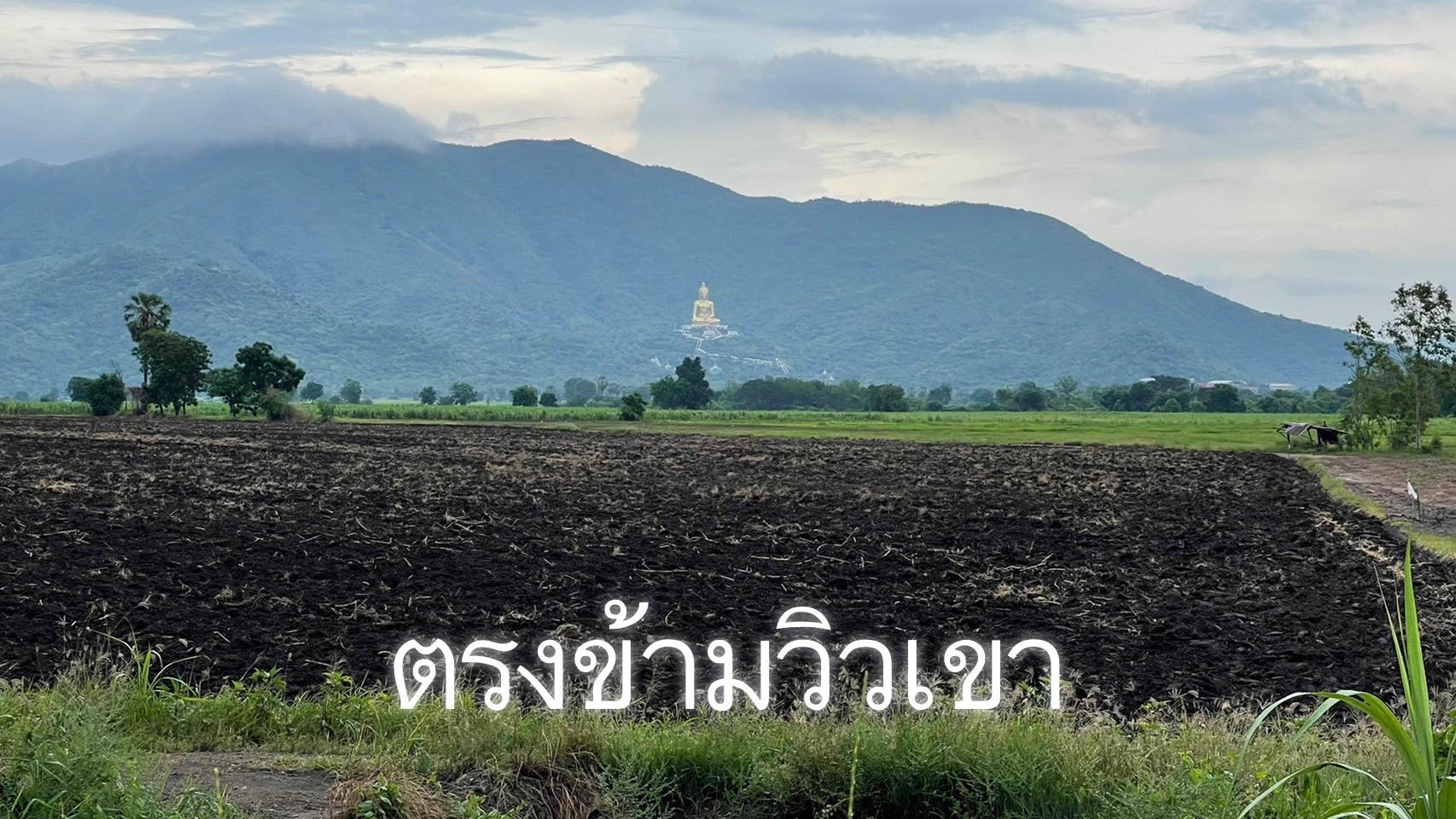 ที่ดินเปล่า อ.โคกสำโรง จ.ลพบุรี 14-3-60