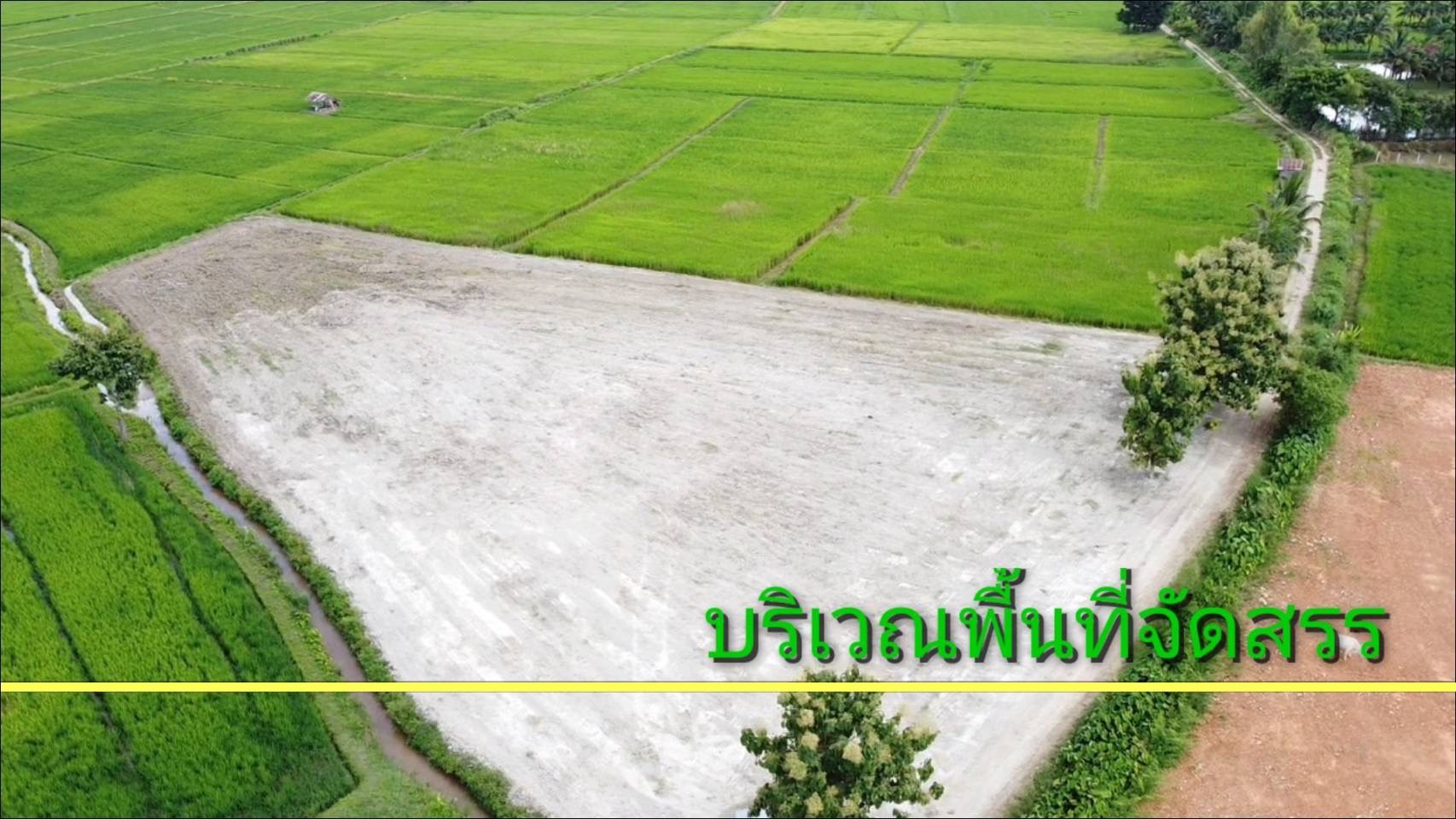ที่ดินทุ่งนาวิวสวย แม่จัน เชียงราย 3-1-72