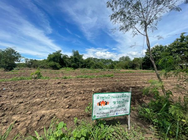 ขายที่ดิน หมู่บ้านหนองสมณะ อ.ป่าซาง จ.ลำพูน 350 ตรว.