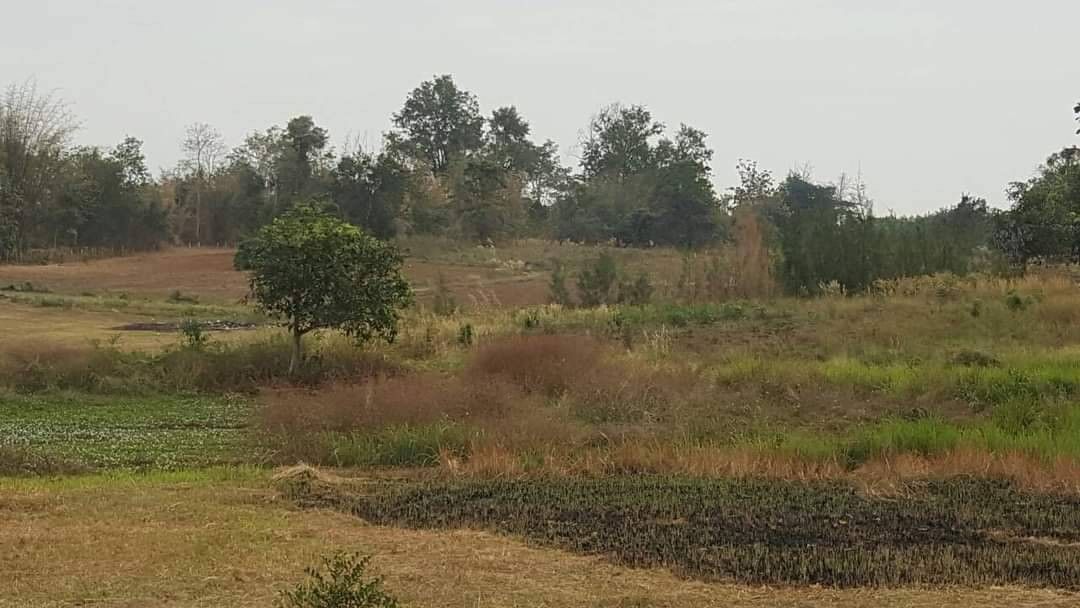 ขายที่ดินเพชรบูรณ์ อำเภอเมือง ที่ดินสวย ทำเลดี ใกล้โอเอซีสรีสอร์ท อยู่ในโซนท่องเที่ยวเขาค้อ ทางขึ้นเขาค้อฝั่งพระตำหนัก