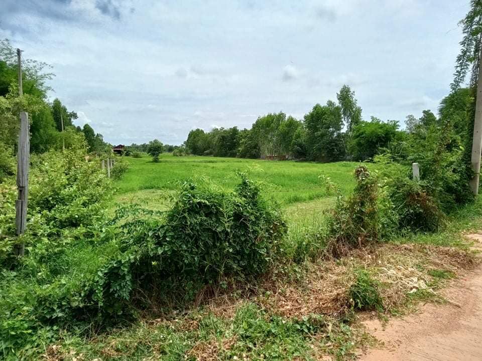 ที่ดินหมู่บ้านดอนดู่ มหาสารคาม 2-1-14.6