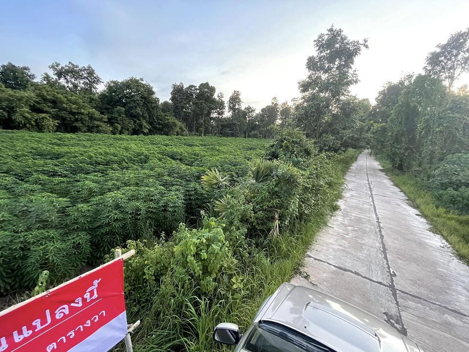 ขายที่ดิน อุบลราชธานี 5-1-99 ไร่
