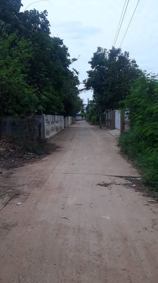 ขายที่ดิน มหาสารคาม 106 ตรว.