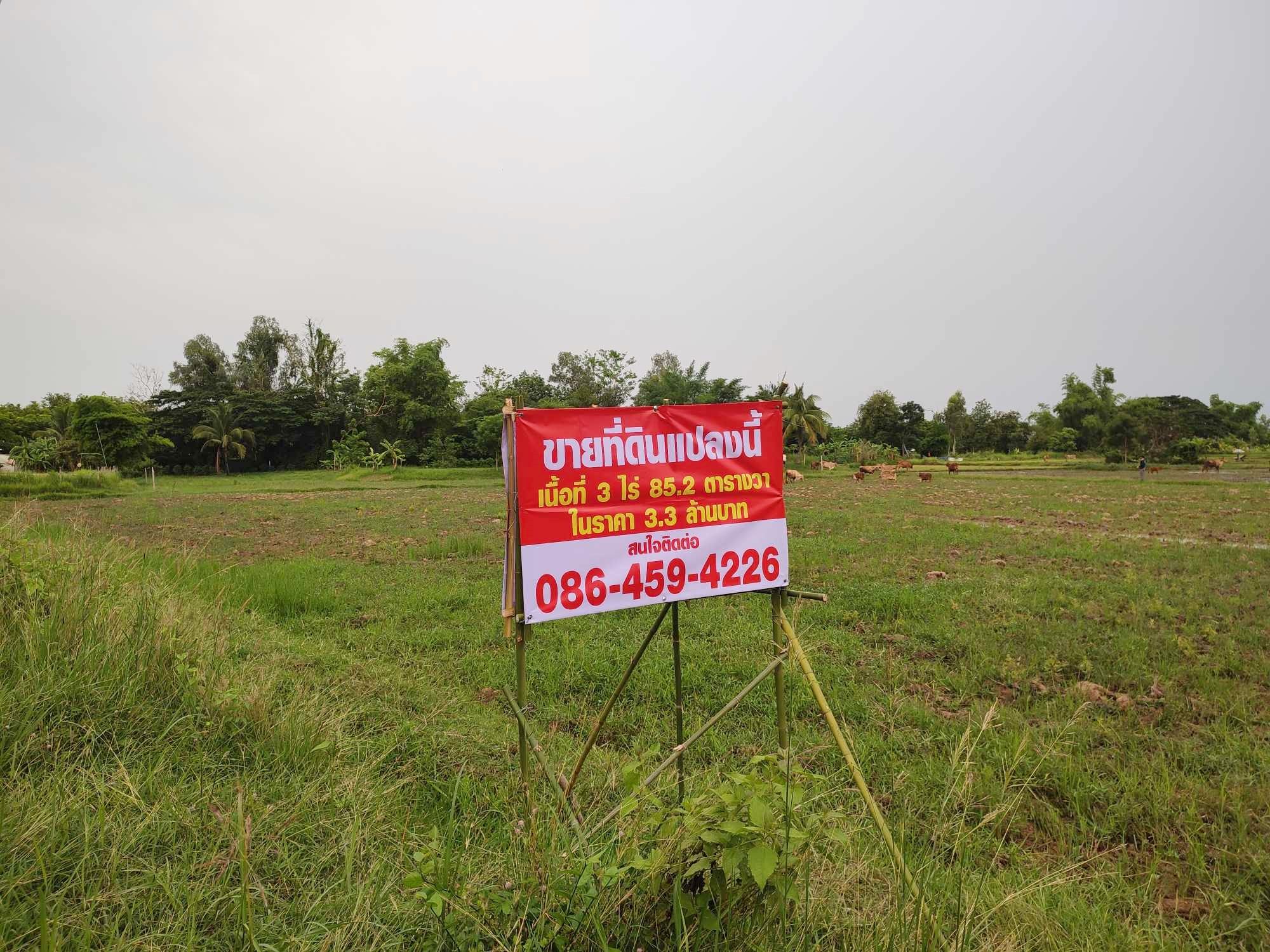 ขายที่ดินอยู่หลังโรงเรียนชุมพลโพนพิสัย อำเภอโพนพิสัย (เมืองบั้งไฟพญานาค)