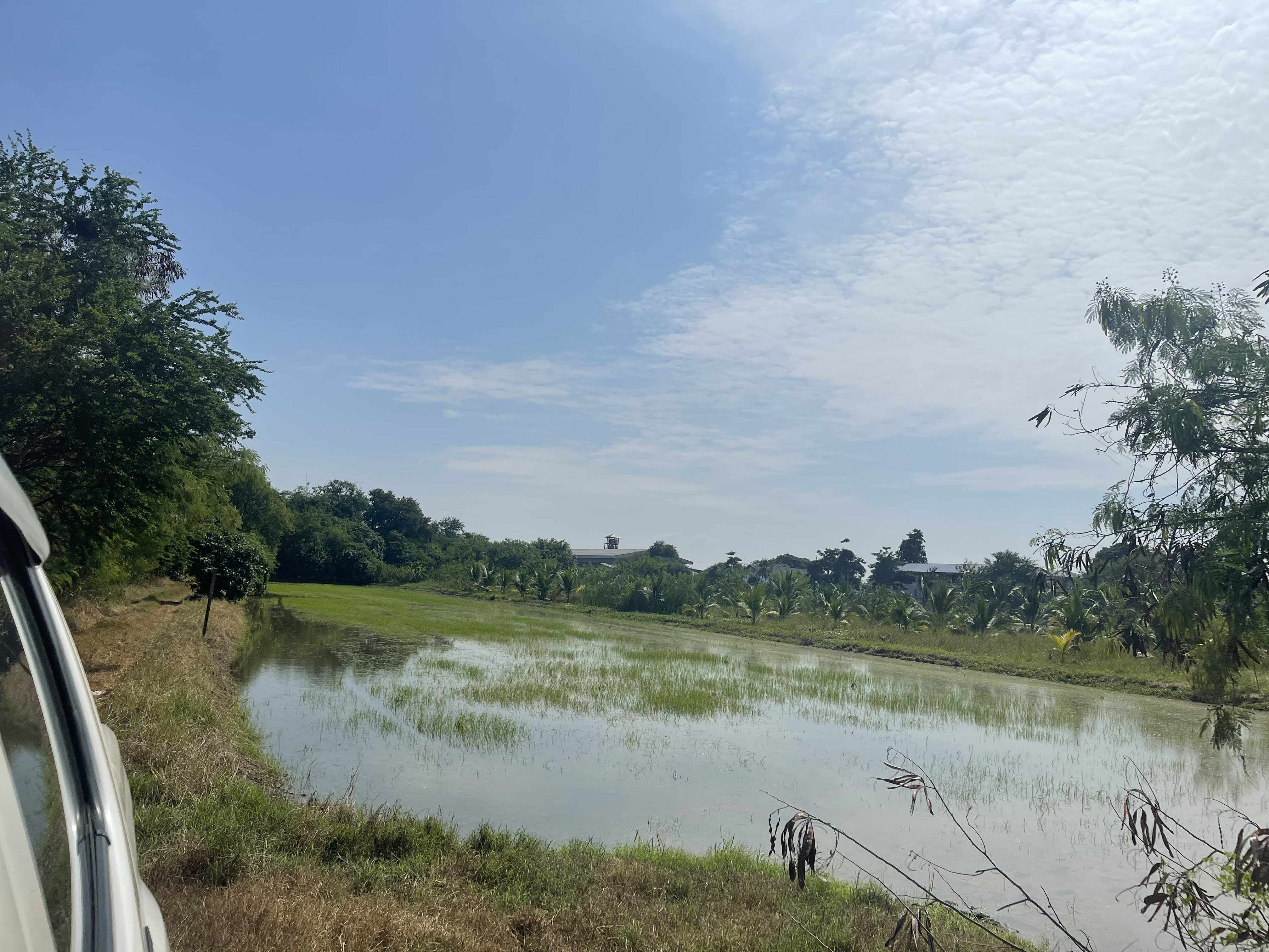 ขายที่ดินบางเลน หน้าติดถนนหลังติดคลอง