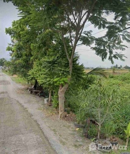 ขายที่ดินติดซอยสามวัง ขายด่วน ราคาพิเศษ บางบัวทอง 10 ไร่กว่า ติดถนน ราคาถูก