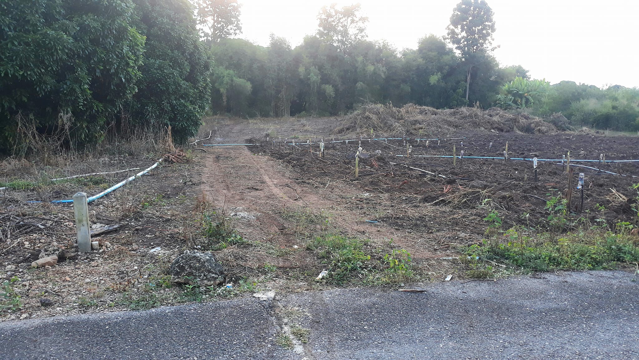 ขายที่ดินราชบุรี เมืองราชบุรี 6-2-42